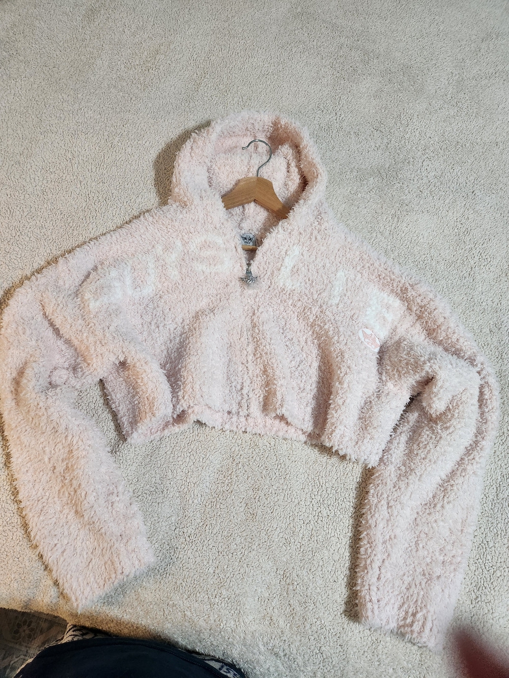 NWT!! Boys Lie Fuzzy Cropped Hoodie in Light Pink